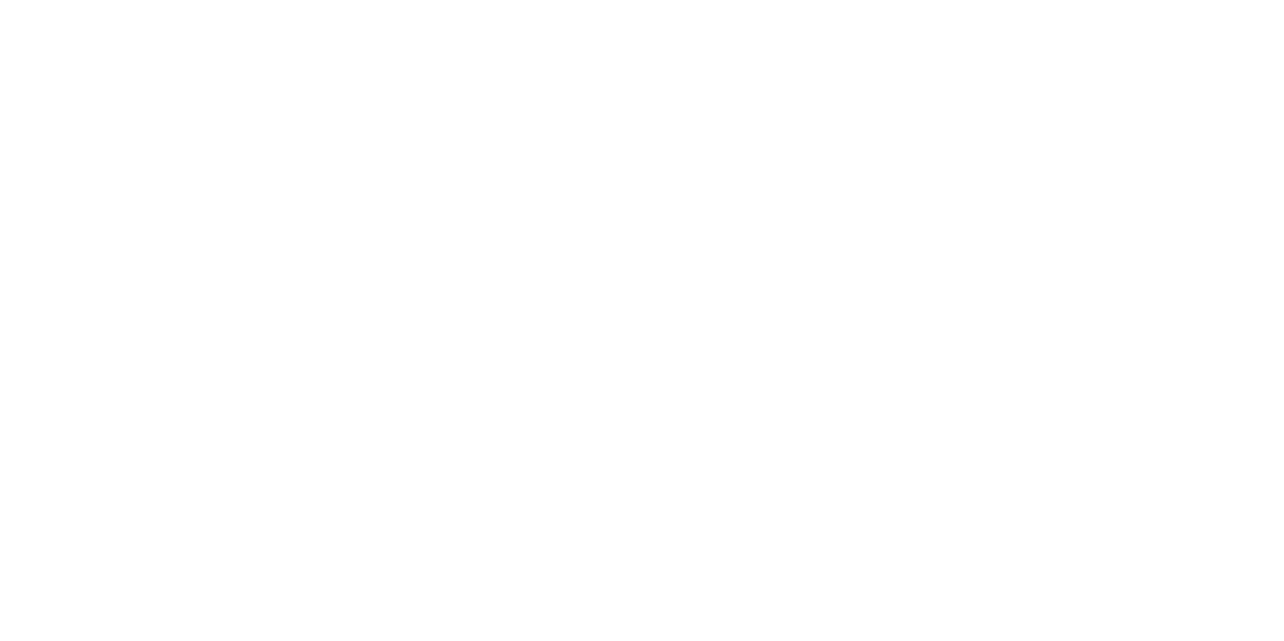 Payl8r_Logo_White (1)